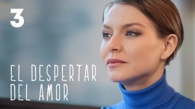 El despertar del amor | Parte 3