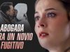 Abogada para un novio fugitivo
