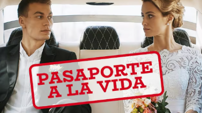 Captura de pantalla 2026-02-20 150044