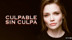 Captura de pantalla 2026-04-27 202429