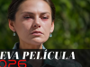 Captura de pantalla 2026-05-01 205044