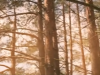 Captura de pantalla 2026-05-19 181749