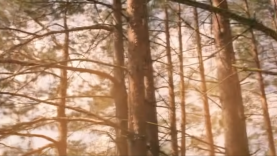 Captura de pantalla 2026-05-19 181749