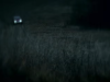 Captura de pantalla 2026-05-19 183911