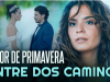 Captura de pantalla 2026-09-14 151547