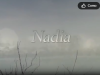 Captura de pantalla 2026-09-15 161421