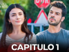 Captura de pantalla 2026-10-12 210516